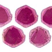 Tourmaline Var. Liddicoatite