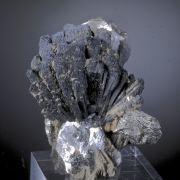Hedenbergite with Arsenopyrite