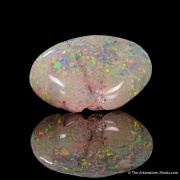 Opal replacement of Clam Fossil