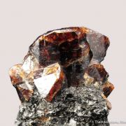 Zircon (fluor.) on Biotite and Hornblende