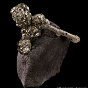 Pyrite on Pyrite ps. Baculites yokayamai