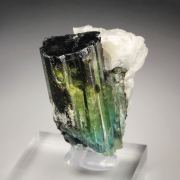 new find - gemmy TOURMALINE var. ELBAITE
