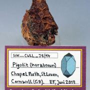 Pigotite - Chapel Port, St. Levan, Cornwall, GB