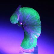 ADAMITE