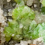 Cuprian Adamite
