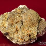 Atencioite (type locality) with Ushkovite on Beryllonite