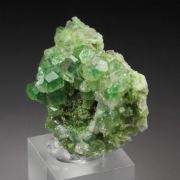 gem GARNET var. GROSSULAR with GREEN CHROMIAN PHANTOMS, DIOPSIDE