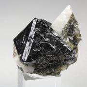 SPINEL