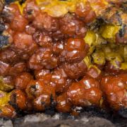 Mimetite (variety campylite) with Goethite