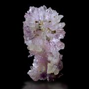 Amethyst / Amethystflower – Irai, Rio Grande do Sul, Brazil