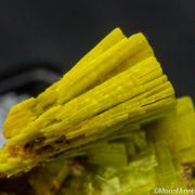Uranocircite