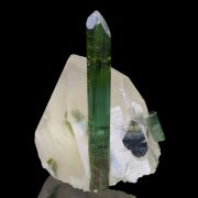 Elbaite Tourmaline, on Quartz