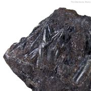 Cylindrite
