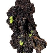 Phosphohedyphane, descloizite