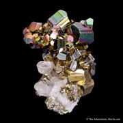 Pyrite with Quartz 