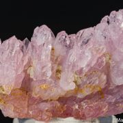Rose Quartz