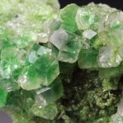 gem GARNET var. GROSSULAR with GREEN CHROMIAN PHANTOMS, DIOPSIDE