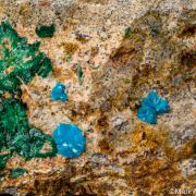 Sampleite, Atacamite