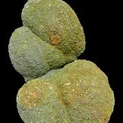 Baryte, marcasite