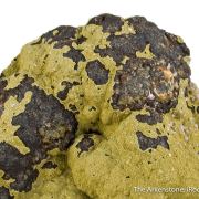 Kidwellite with Strengite on Beraunite