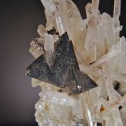 Helvite (unusually sharp crystals) on Quartz. Ex George Loud