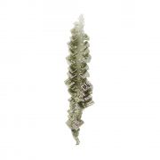 Halite with rare Tolbachite inclusions