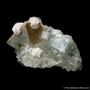 Scheelite on Fluorite, with Dolomite