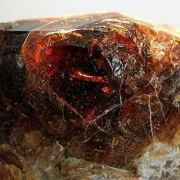 Chondrodite