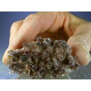 Yttrofluorite, Calcite