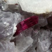 Tourmaline on Lepidolite