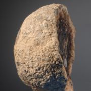 Carbonate-Apatite - var. Dahllite