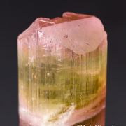 Lepidolite on Tourmaline