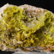 Pyromorphite