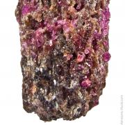 Painite with Corundum