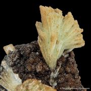Paravauxite (Type Locality)