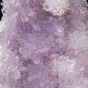 Creedite