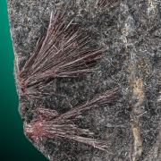 Kermesite 