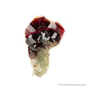 Grossular Garnet on Diopside