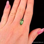 Spodumene var. Hiddenite (3.02 ct)