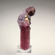 gem TOURMALINE var. ELBAITE, LEPIDOLITE