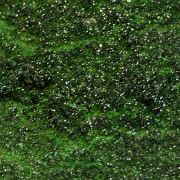 Botallackite, atacamite, paratacamite