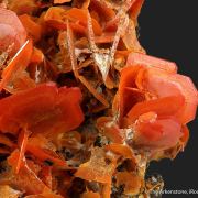 Wulfenite