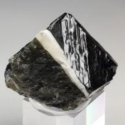 SPINEL