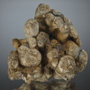 Meteorite - Pallasite with Magnetite - unusual