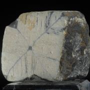 Andalusite - Chiastolite (fairy cross)