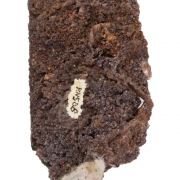 Wulfenite