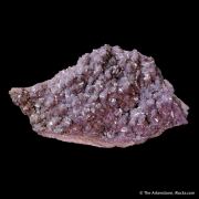 Fluorapatite