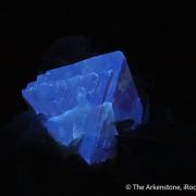 Scheelite on Muscovite