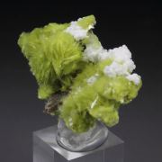 new find - CARLHINTZEITE