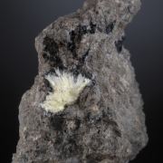Boltwoodite
